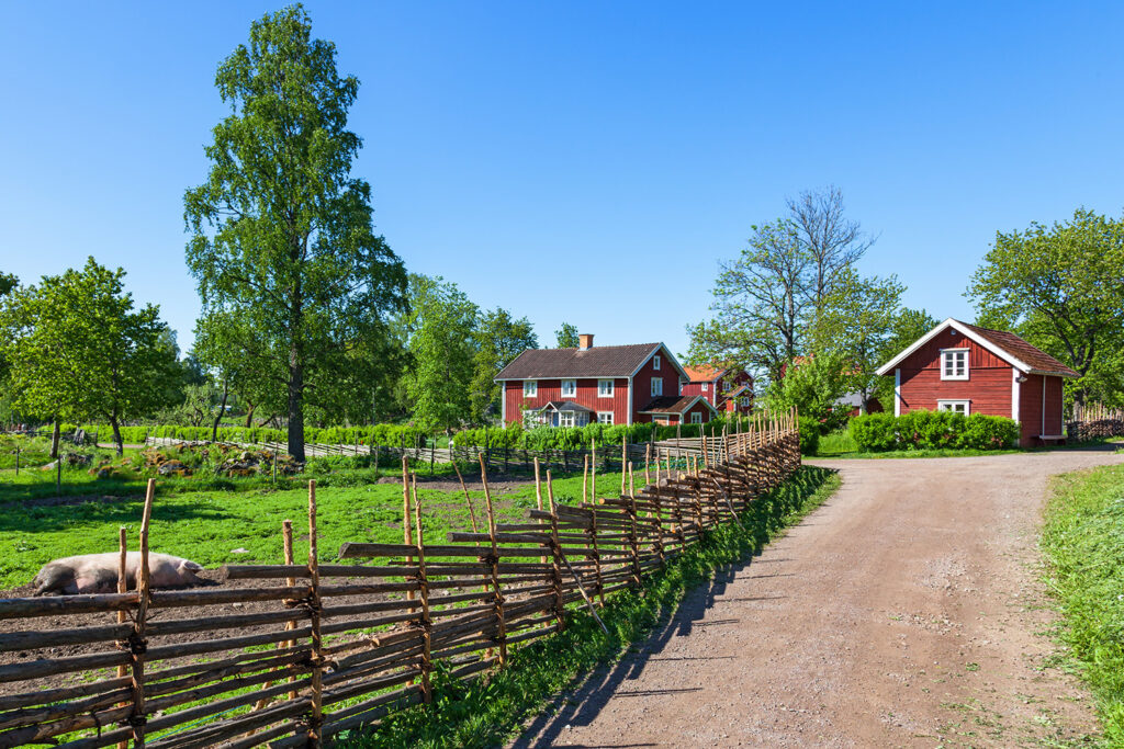 Noaks Ark - Småland & Halland - Hero
