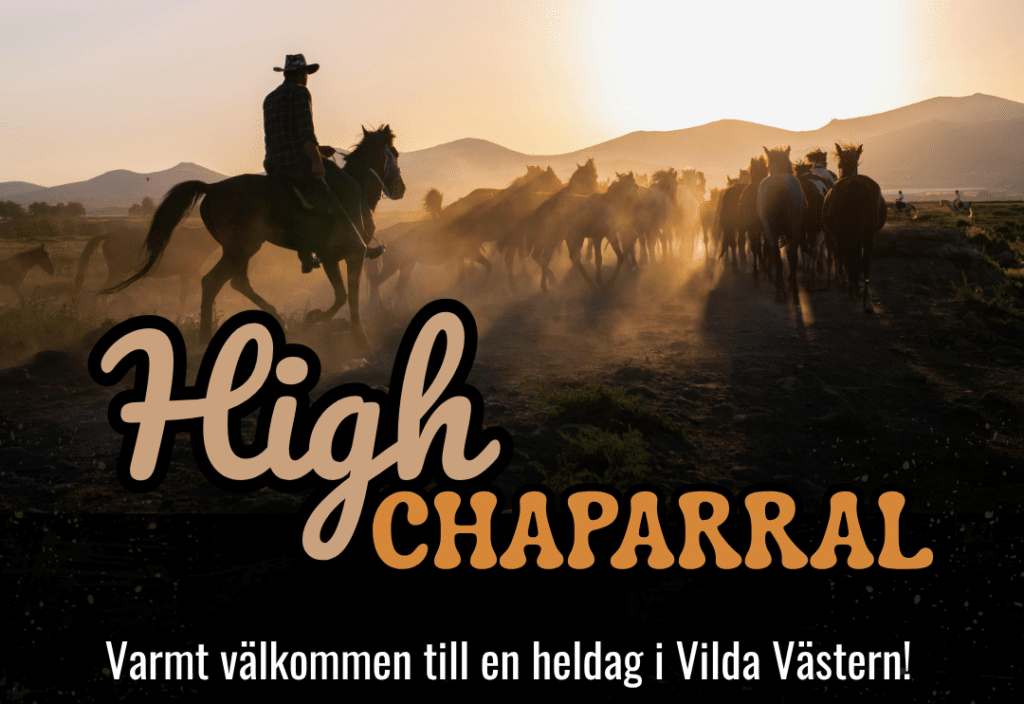 Bild på en cowboy ridande på en häst tillsammans med många andra hästar